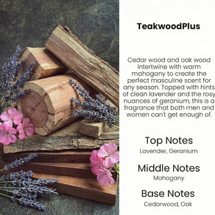 Car Air Freshener Diffuser 2 Pack Hanging Mahogany Teakwood Car Air Freshener for Women 45+ days Long Lasting Fragrance Made in USA (M33)