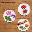 2- Pack Amber Sandalwood Car Air Freshener Hanging Long Lasting Car Scent Essential Oil Diffuser Car Perfume Inspired Fragrances for Men and Women by-3