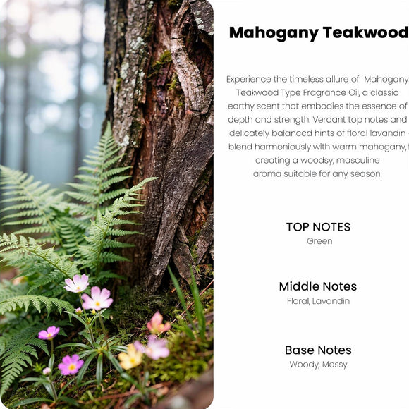 Car Air Freshener Hanging Diffuser Long-Lasting Essential Oil Scent (Up to 60 Days) Non-Toxic & Eco-Friendly 2-Pack Auto Fresheners Made in USA