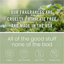 Car Air Freshener Diffuser 2 Pack Hanging Spiced Pumpkin Car Air Freshener for Women 45+ days Long Lasting Fragrance Made in USA (P42)-3