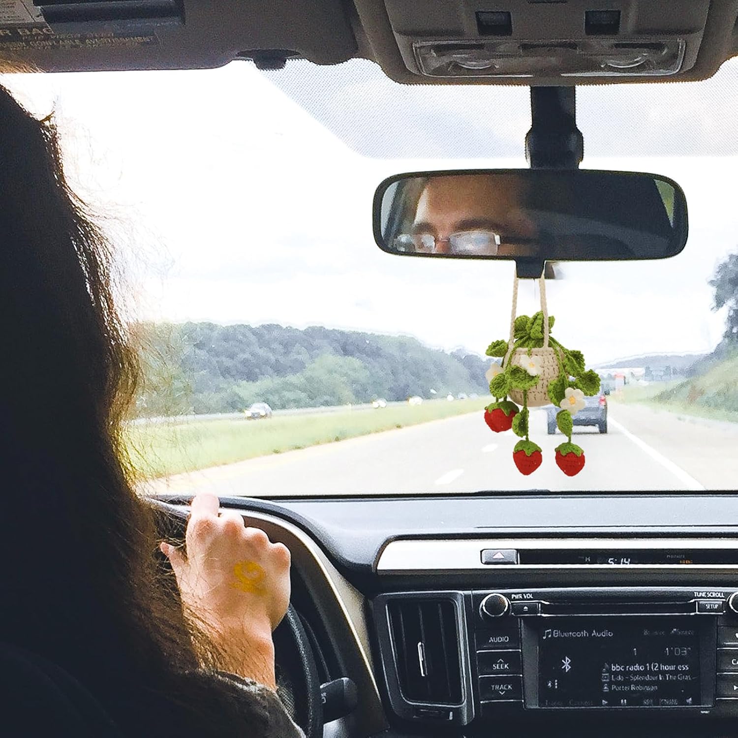 hanging plant for car mirror CAR CUP HOLDER