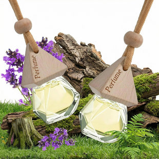 Car Air Freshener Hanging Diffuser Long-Lasting Essential Oil Scent (Up to 60 Days) Non-Toxic & Eco-Friendly 2-Pack Auto Fresheners Made in USA