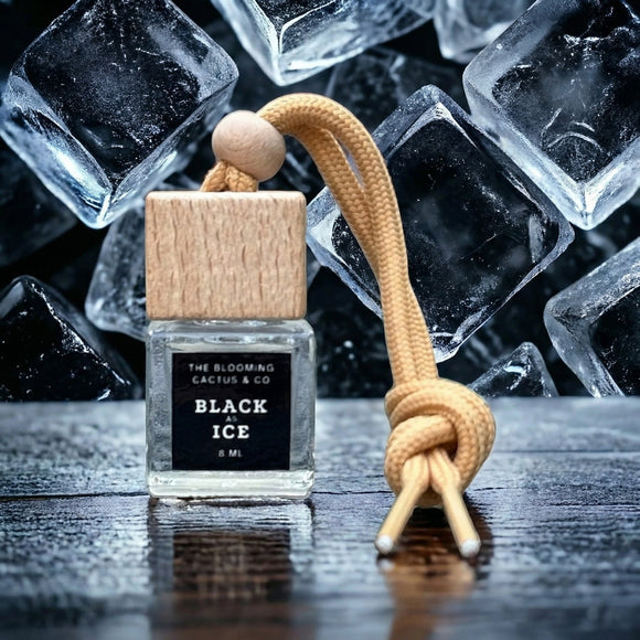 The Blooming Cactus & Co. - Car Diffuser with Refill included | Car scented on the go | Car Air Freshener Hanging | Long Lasting Fragrance | Phthalate Free Fragrance. (Black Ice (Type))
