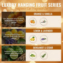 Car Air Freshener Hanging - 3-Pack Citrus Collection Car fresheners long lasting Car Air Freshener for Women and Men Premium Car Aromatherapy Essential Oil Diffuser Gift Set-6
