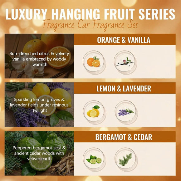Car Air Freshener Hanging - 3-Pack Citrus Collection Car fresheners long lasting Car Air Freshener for Women and Men Premium Car Aromatherapy Essential Oil Diffuser Gift Set