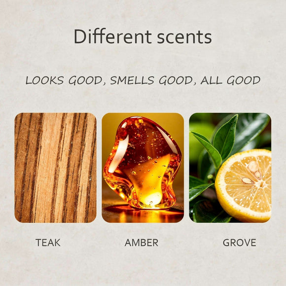 Amber Air Freshener Stone Scent Starter Kit Odor Eliminator - Car Visor Clip (Pack of 1 - Amber Scent)