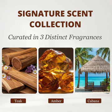 Car Air Freshener - Wood Air Freshener - Car Odor Eliminator for Visor Clip-Variety Scent Refill Vehicle Scent Diffuser for Cabin Truck & SUV - Pack of 3 (Teak-Amber-Cabana)-CLIP INCLUDED - 0