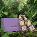 Hanging Car Air Freshener Long Lasting Essential Oil Diffuser Non-Toxic Pink Sands Scent Cute Car Fresheners for Women 2 Pack Made in USA-2