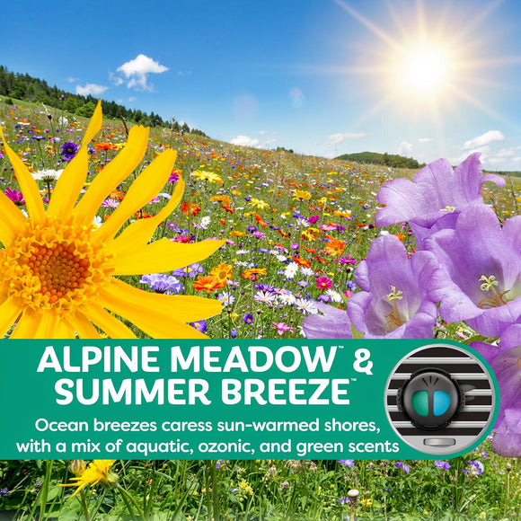 Mini Diffuser Car Air Fresheners Alpine Meadows / Summer Breeze Scent 2 Pack