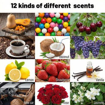 Ikeda Scents Car Air Freshener: Auto Deodorizer | Long-Lasting Smoke Smell Remover| 12 Different of Scents | Car Scent For Home | 1.5oz |12 pack - 0