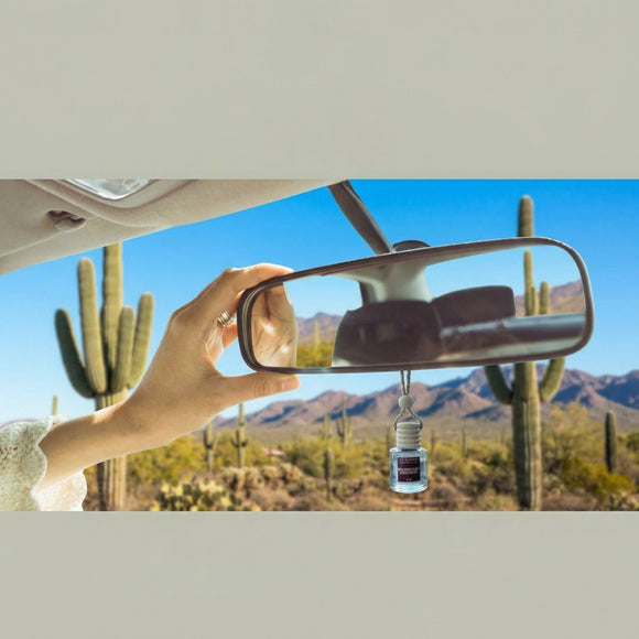 The Blooming Cactus & Co. - Car Diffuser with Refill included | Car scented on the go | Car Air Freshener Hanging | Long Lasting Fragrance | Phthalate Free Fragrance. (Black Ice (Type))