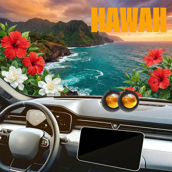 Car Air Freshener Vent Clips Hawaiian Scent 6 Pack Long Lasting Scent Up to 180 Days Car Fresheners for Women Car Vent Clip for Men