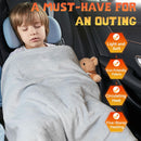 12V Heated Blanket for car Machine Washable Car Electric Blanket Heated Travel Blanket Plug in Flannel Heating Throw for Car Truck SUV Van 40x55 with Controller 3 Heating Level-2
