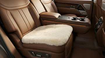 Genuine Sheepskin Car Seat Cushion Seat Covers for Cars Trucks SUV Comfort Seat Protector Pad for Car Driver Seat Car Accessories for Women Office Chair Car Decor (Pearl Front Seat Cushion-1 Pc)