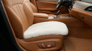 Genuine Sheepskin Auto Seat Pad Australian Soft Wool Seat Cover Breathable and Sweat-Wicking Comfort Warm Universal Fit 19.2 inch x19.2 inch (Front seat Cushion 1pc Ivory White)