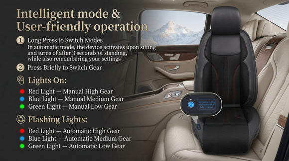 Cooling Car Seat Cushion Front Seat 12V&24V Cooling Seat Cover for Cars with 10 Fans Rapid Cooling with Automatic Start and Pause Seat Cushion (Black)