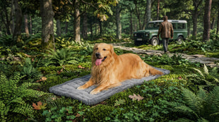 Dog Car Seat Cover for Back Seat Dog Bed for Car Fit for Backseat Extenders Car Seat Protector Nonslip Soft Durable for Cars Trucks and SUVs (Gray 24.8 x 54)